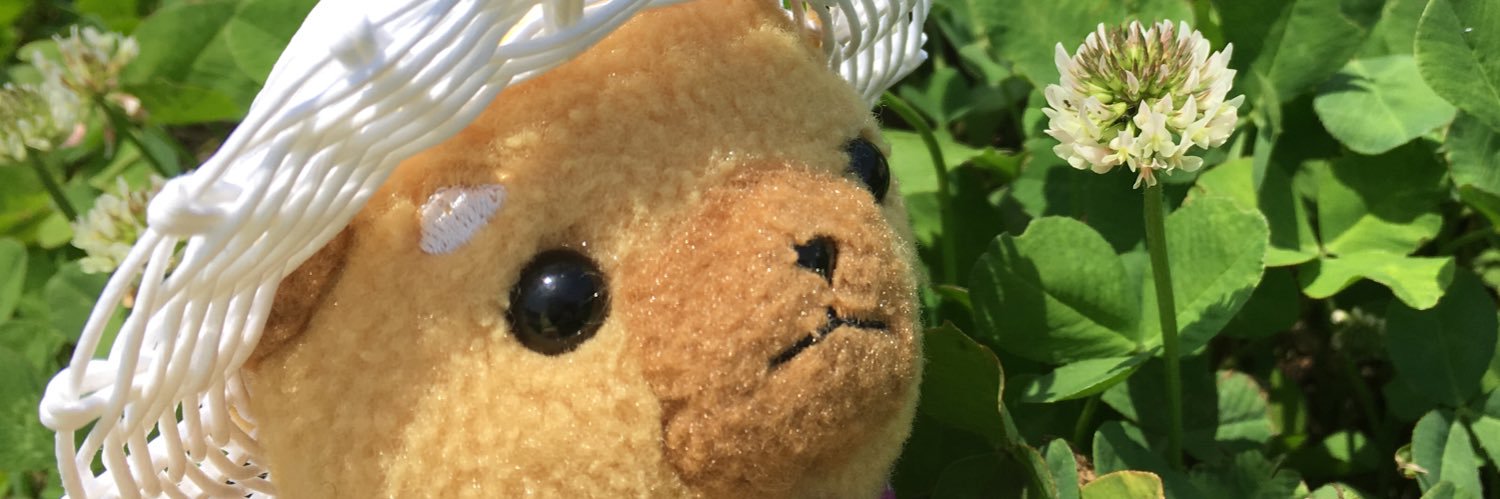 ayuko_m's profile banner image