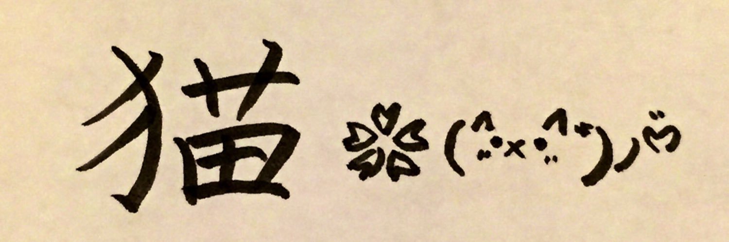 einpeko's profile banner image