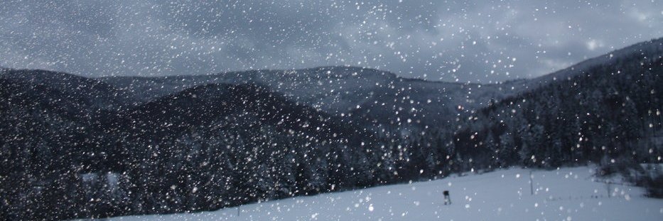 one_riddle's profile banner image