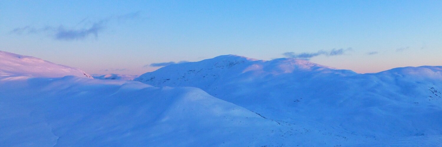 Simon Neby banner