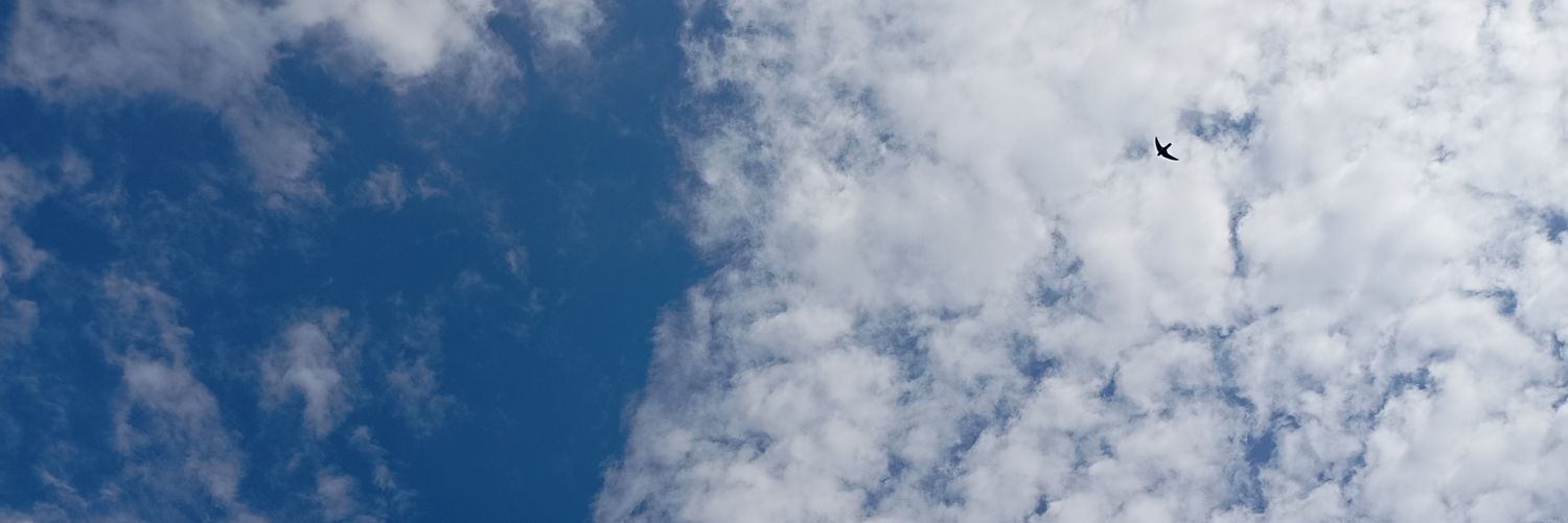 hiroeshy's profile banner image