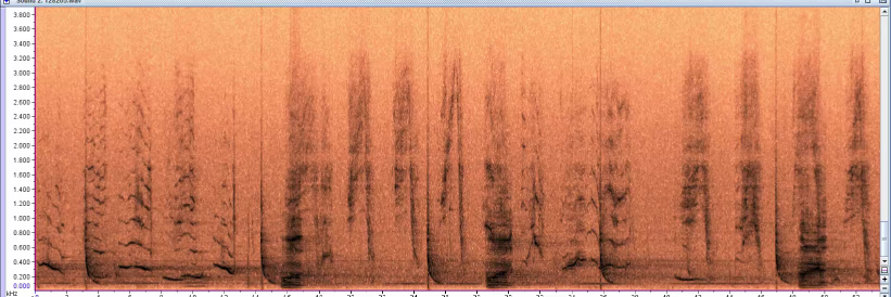 SoundScienceAR's profile banner image