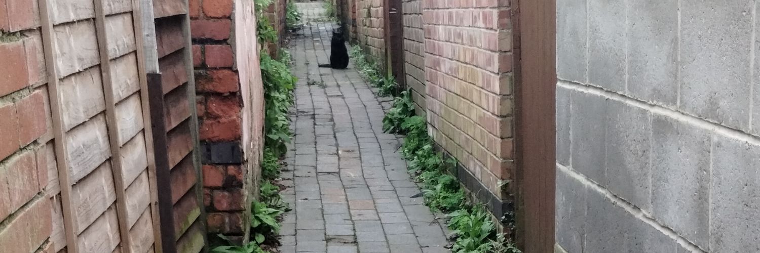 cathyrowson.bsky.social banner