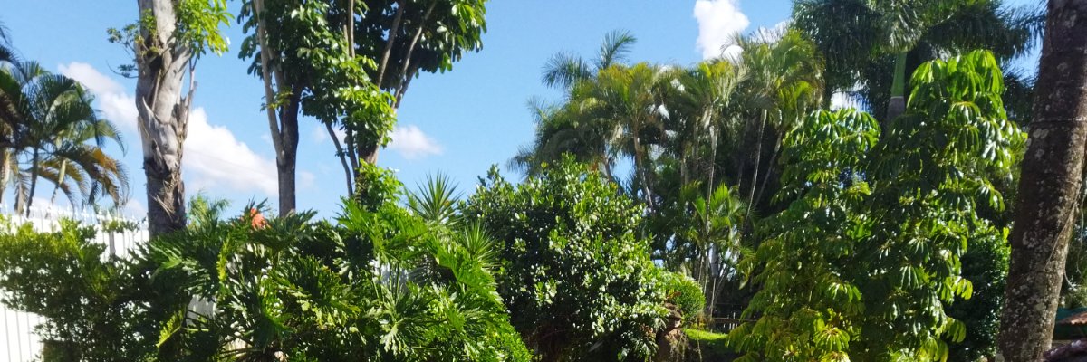 ComerAdoro's profile banner image