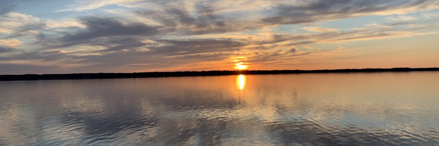 Alison Kadlec banner