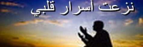 profetranslator's profile banner image