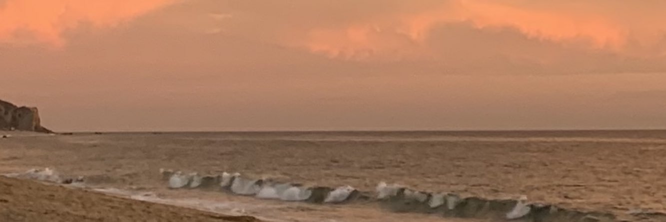 widdopeanut's profile banner image