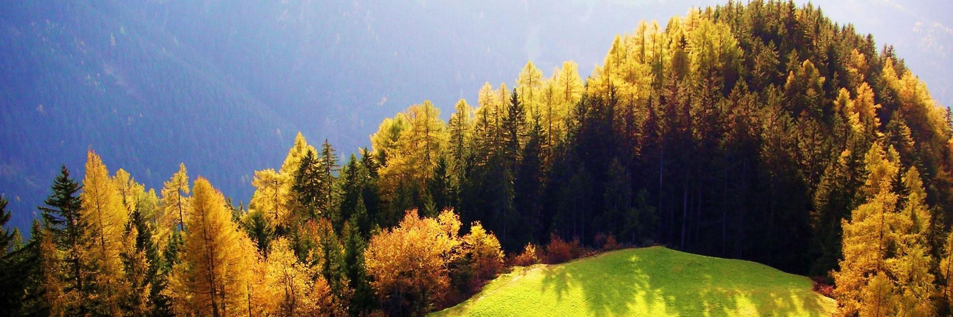 PUautomne's profile banner image