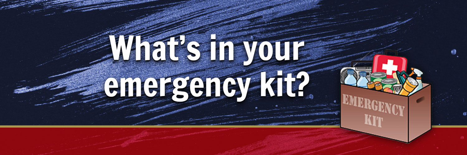 Missouri State Emergency Management Agency's banner