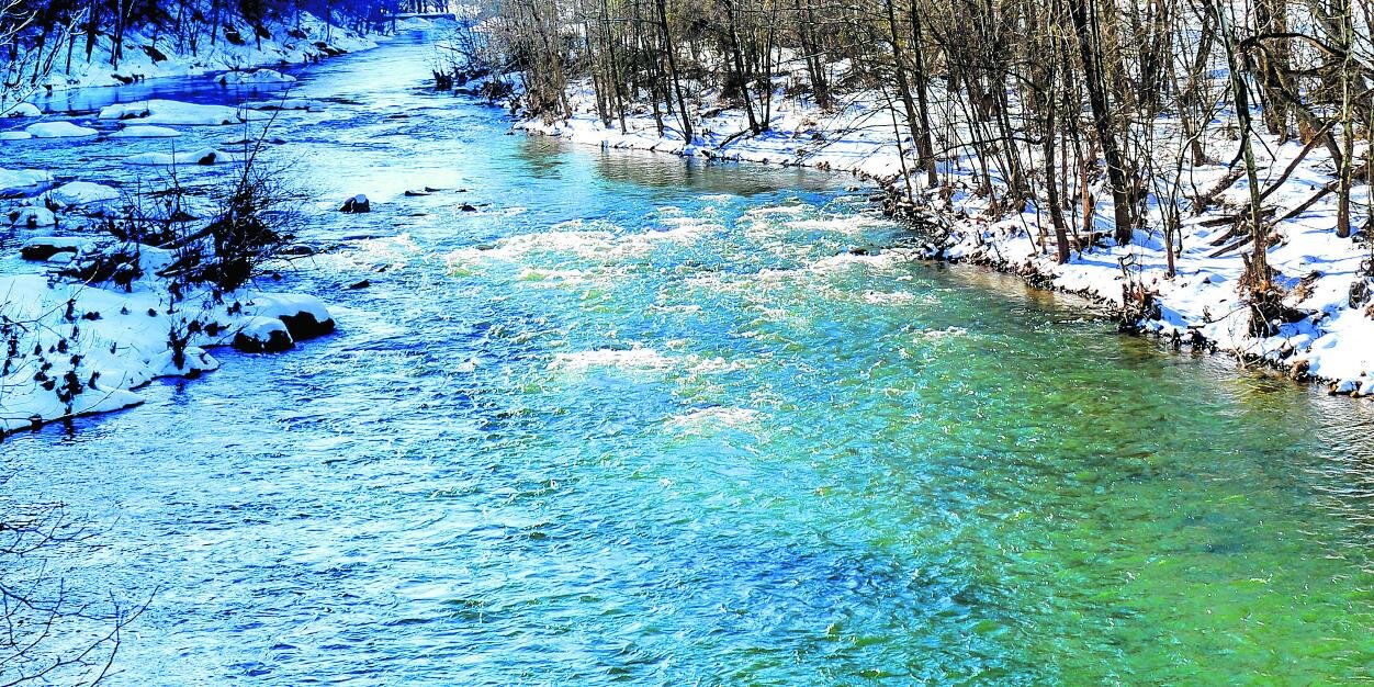 Nelson County Times banner