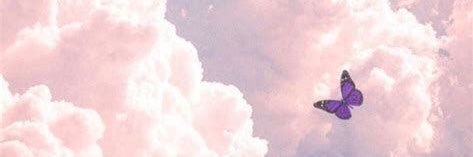 coni_actis's profile banner image