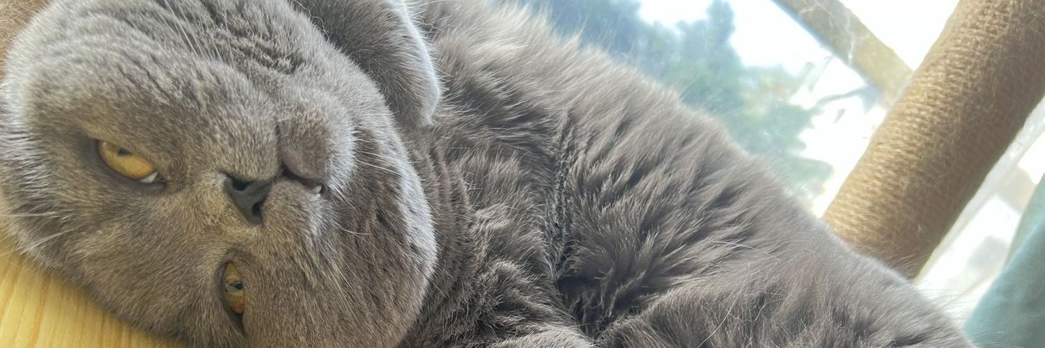 kernelove's profile banner image