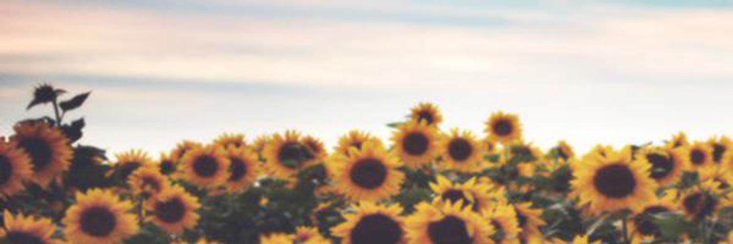 mjtan182's profile banner image