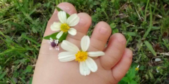 alison wonderland banner