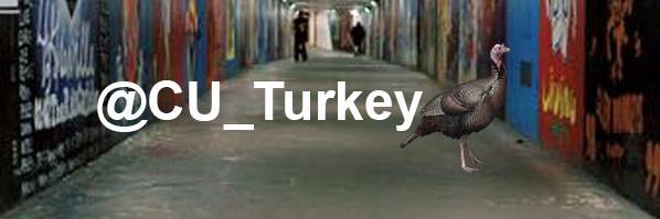 CU_Turkey's profile banner image