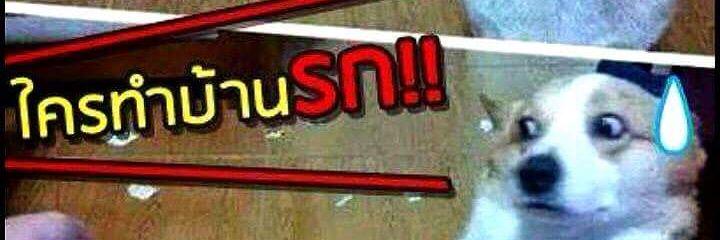 thaibanman69's profile banner image