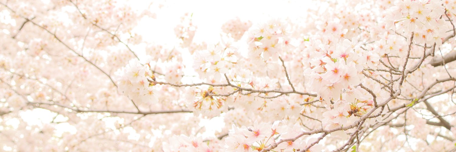 skr396v's profile banner image