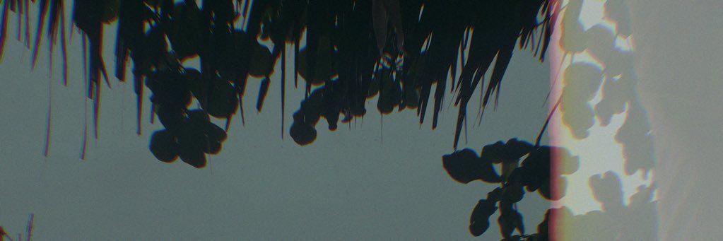 aphrodistyles's profile banner image