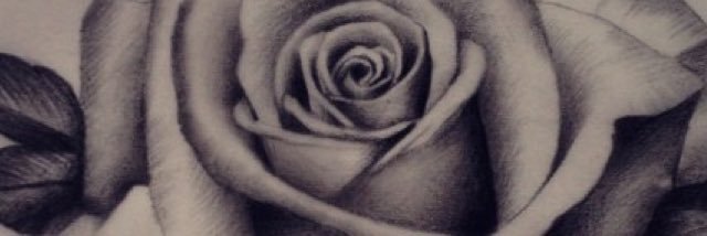 LottieMccudden's profile banner image