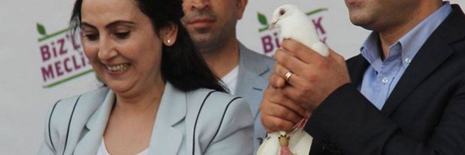 Filiz_Kocali's profile banner image