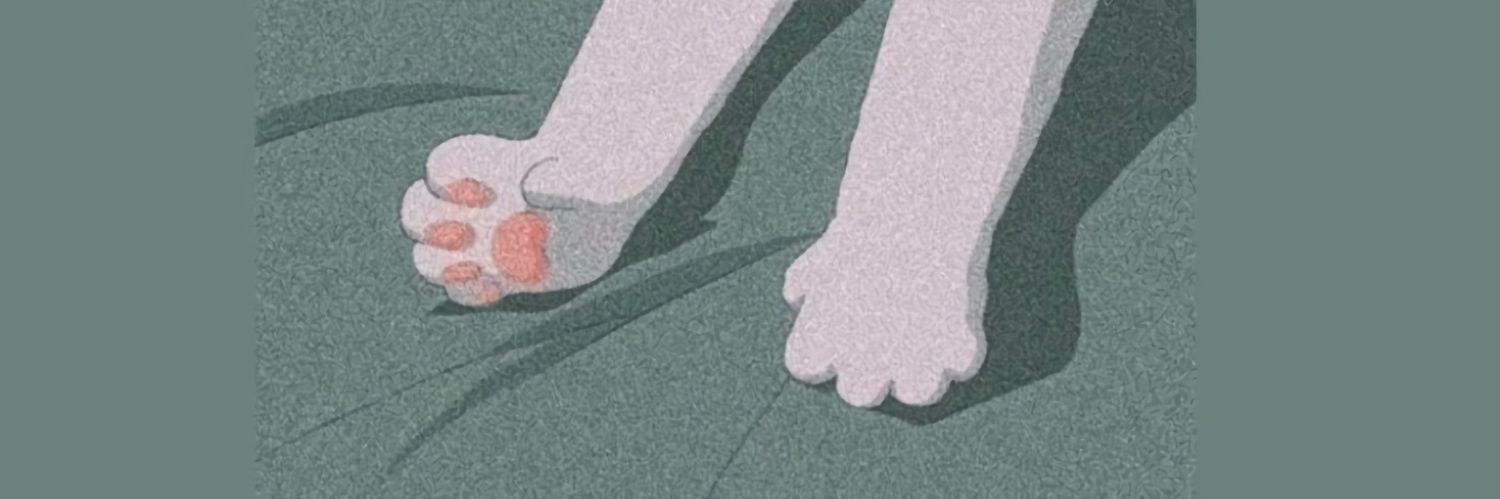 ୧⍤⃝🍩 banner
