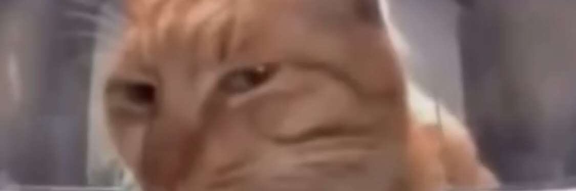 riktfff's profile banner image