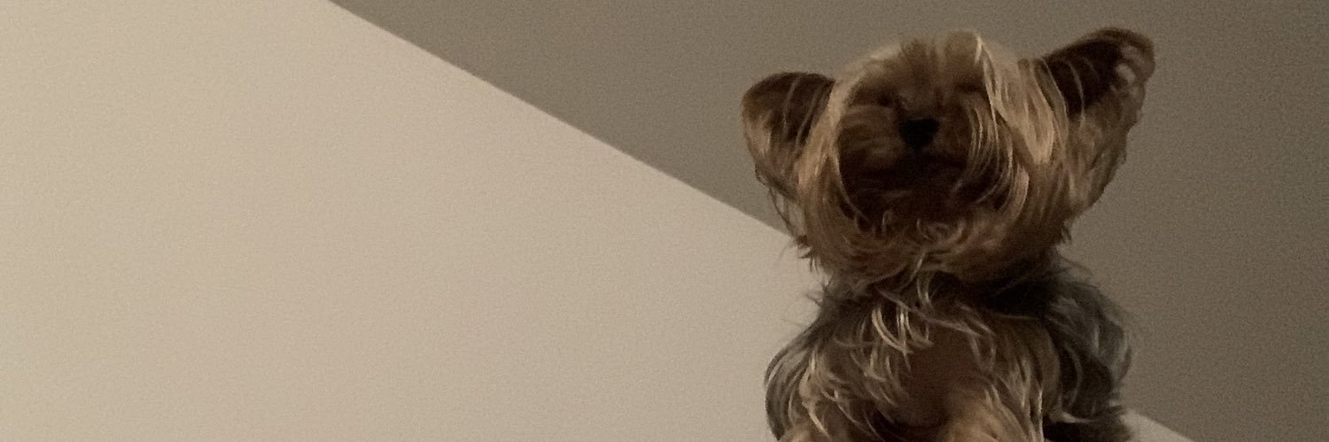Jernaleezy's profile banner image