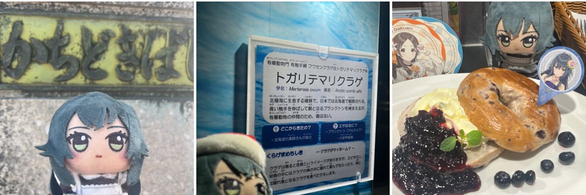 🍌ゴリラ🍌 banner