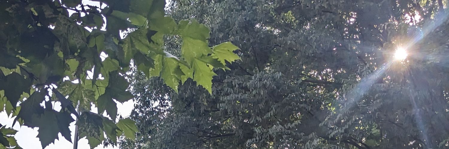 Taylor_RM's banner