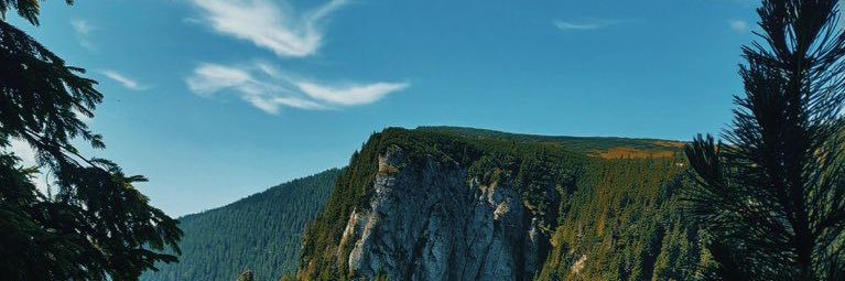 cukidsdontcry's profile banner image