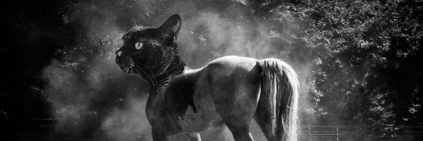 FlavorGs's profile banner image