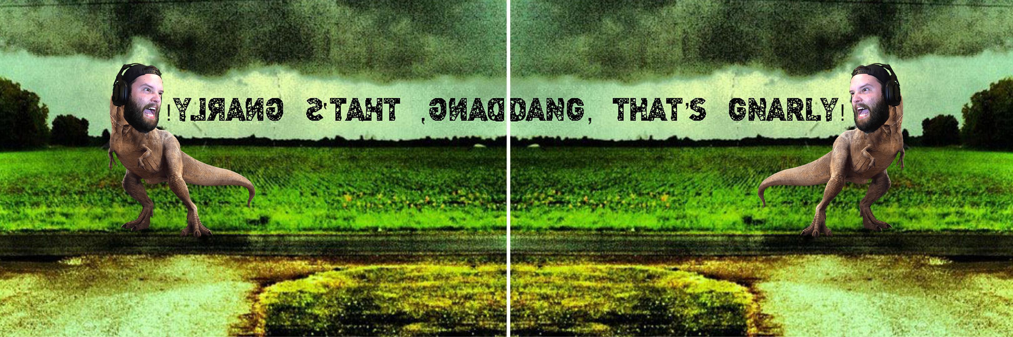 theGnarzilla's profile banner image
