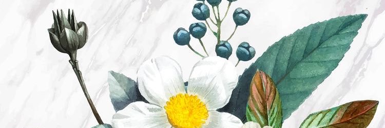 _talekrystaLe's profile banner image