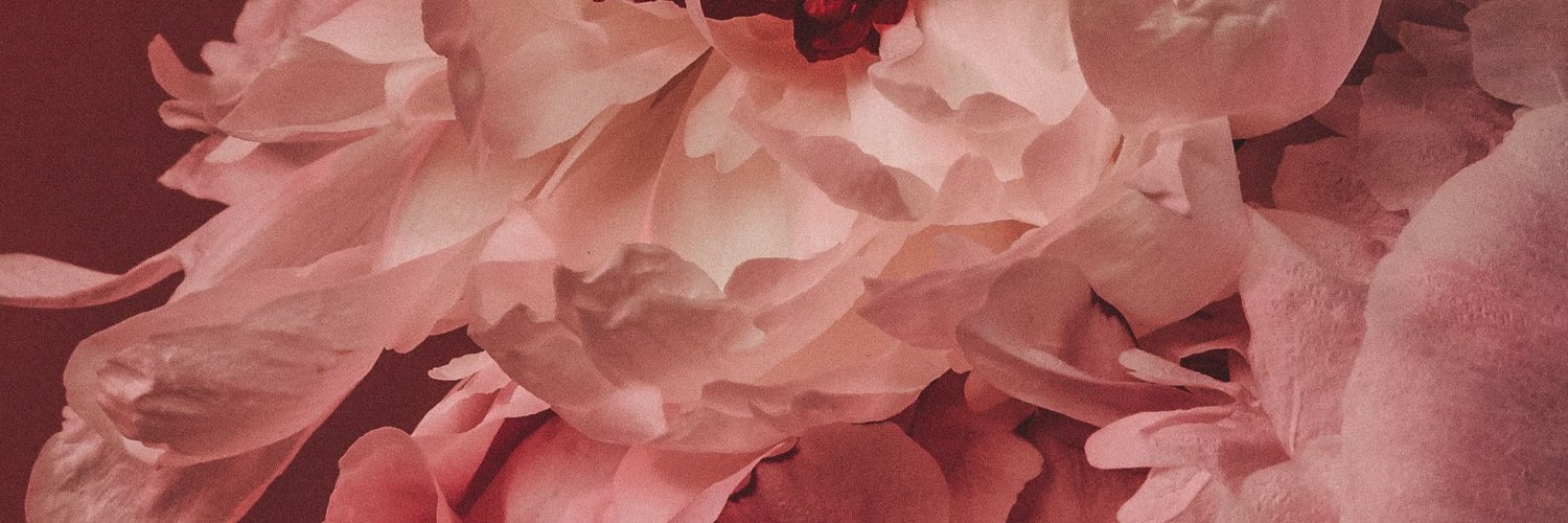 Karlalectora1's profile banner image