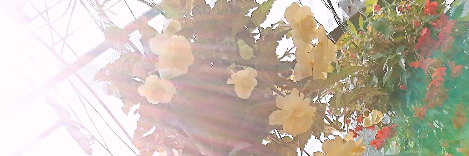 ABC998874's profile banner image