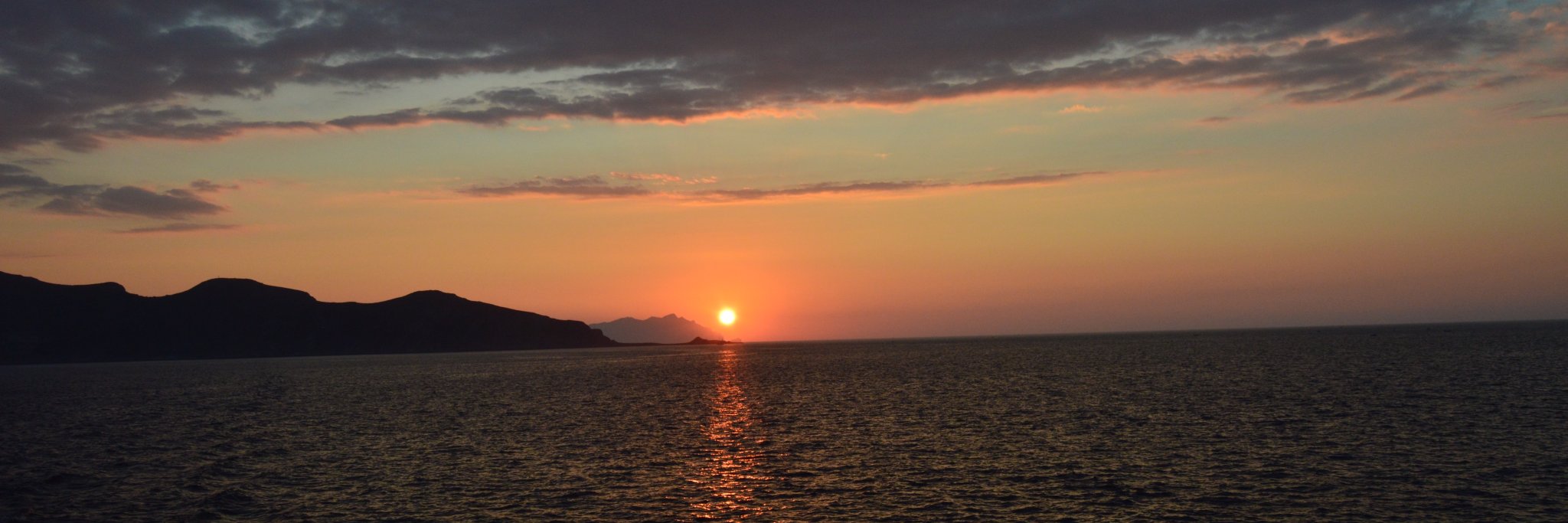 Antonio Purpari banner