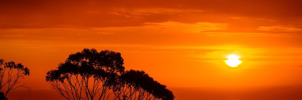 SimplyAndrianna's profile banner image