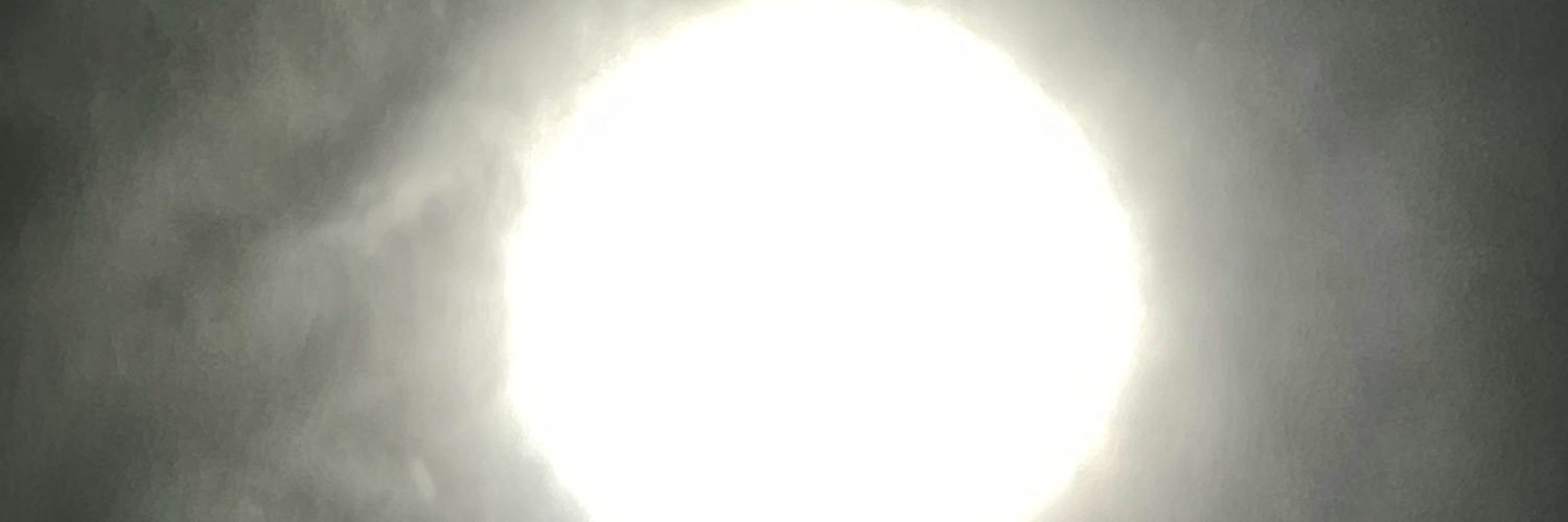 DoyleNeve's profile banner image