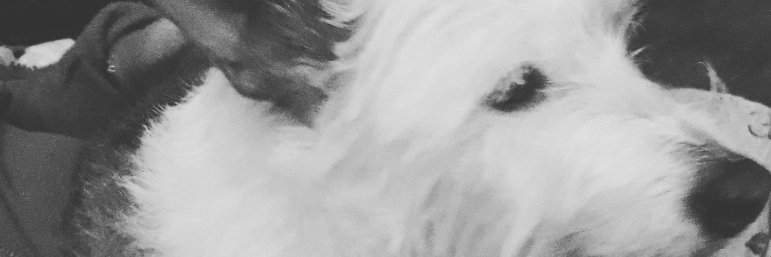 beldainma's profile banner image