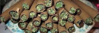 WeedLives's profile banner image