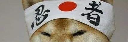 Stivie73's profile banner image