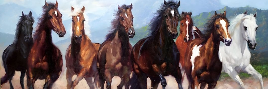B_35_TIE's profile banner image