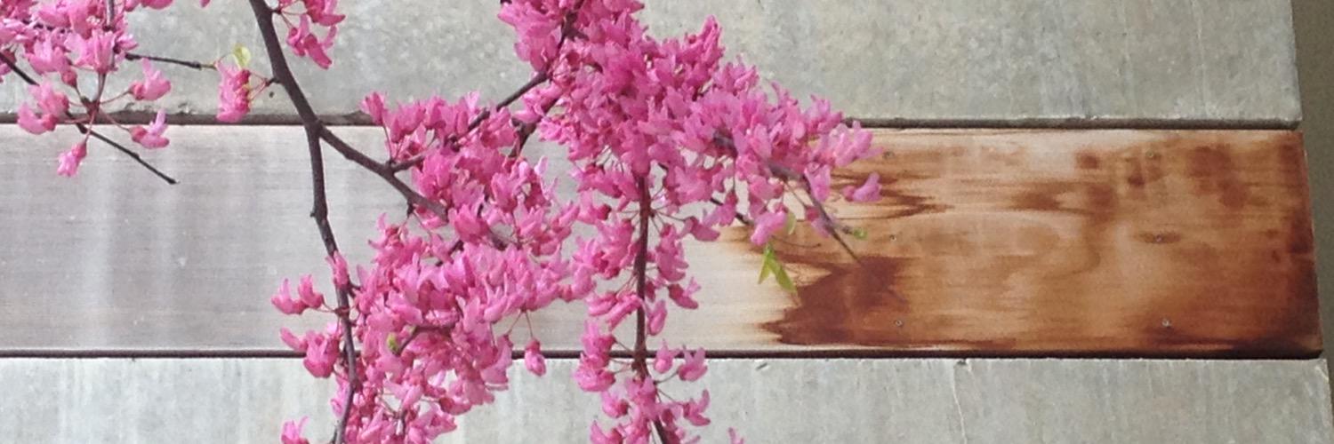 engineersqurl's profile banner image