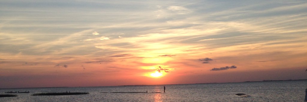 Sara Schwerdtfeger banner