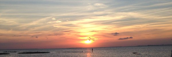 DrSara_4Math Profile Banner