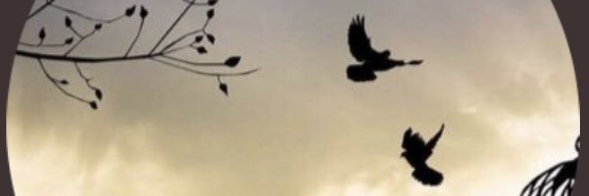 AdolfoLecona's profile banner image