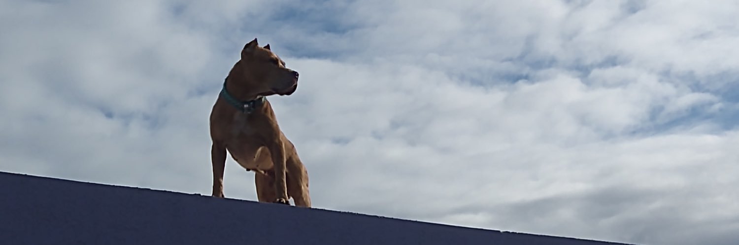 VIDA CAFRE banner