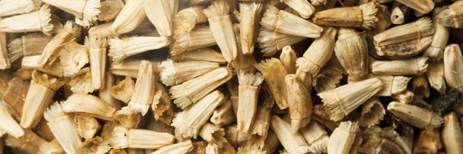 CULTURES TROBADES banner