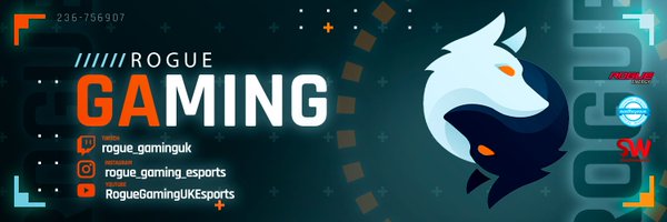 Rogue__Gaming Profile Banner