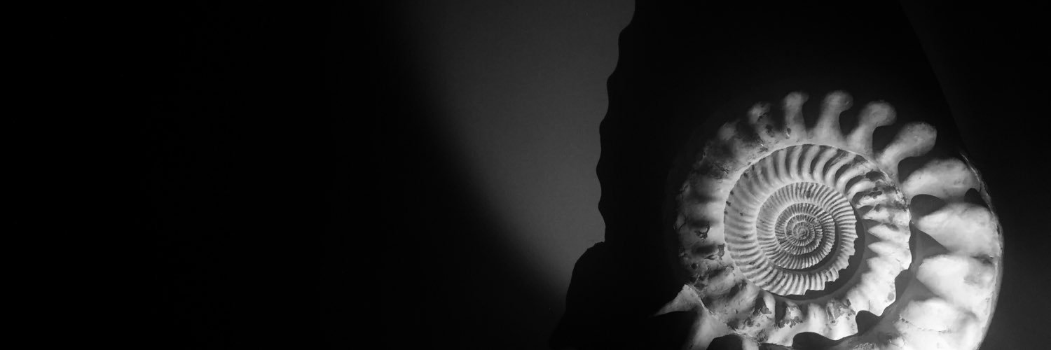 e_tareeva's profile banner image